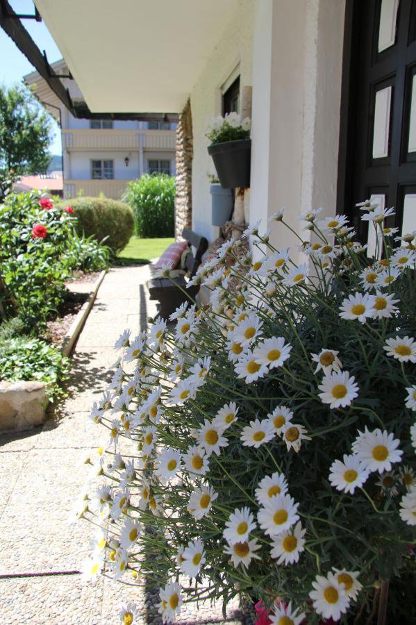 Am Schmuggerbuehl Apartment โบเดนไมส์ ภายนอก รูปภาพ